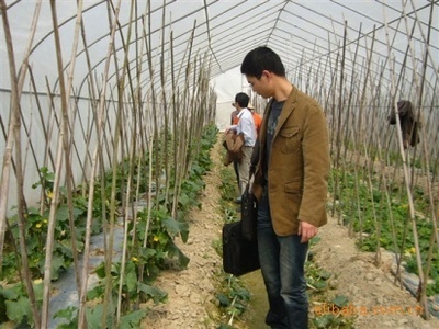 苦參堿殺菌劑——綠色植保新選擇，誠邀廣東地區經銷商合作共贏