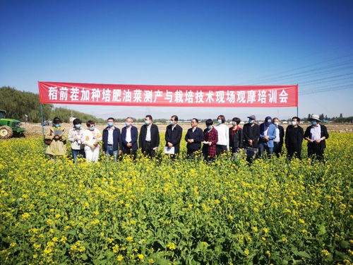 飼料綠肥油菜種植加工綜合利用關鍵技術研究與示范現場觀摩會成功舉辦，助推種植技術開發與集成應用