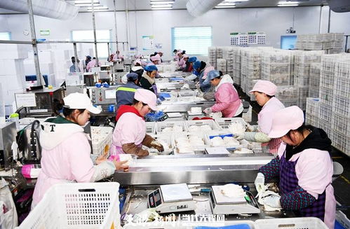 日產量達70噸，產值60余萬元 工廠化種植食用菌助農增收的技術開發與實踐