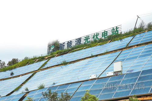 云南交投集團 以新質生產力賦能綠美通道經濟，推動種植技術開發創新