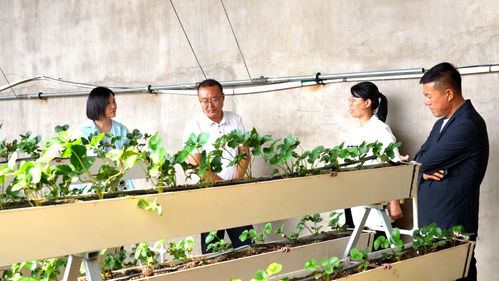 科技興農繪藍圖 縣委書記楊家佳深入調研，擘畫鄉村產業振興新路徑