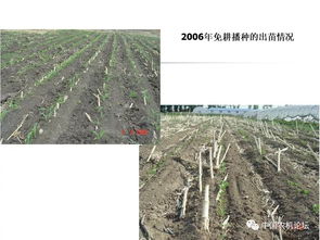 輕簡型免耕播種機(jī)的技術(shù)革新與種植應(yīng)用——播種機(jī)械化發(fā)展研討會專題報(bào)告