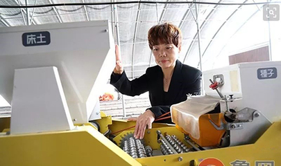 胡紀芹 根植沃土，以技術綻放致富夢想